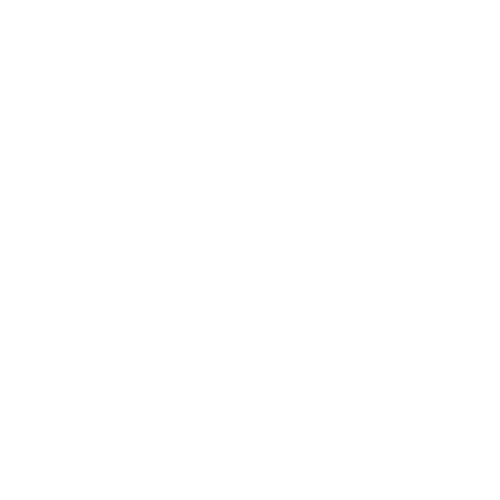 Logo Lightnet wit