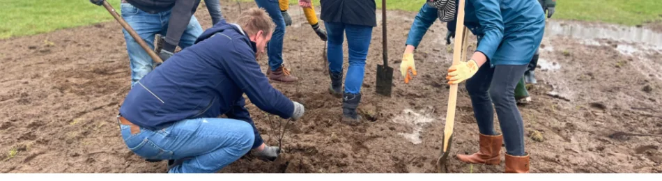 Boomplantdag