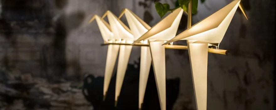 Perch Light Branch 06