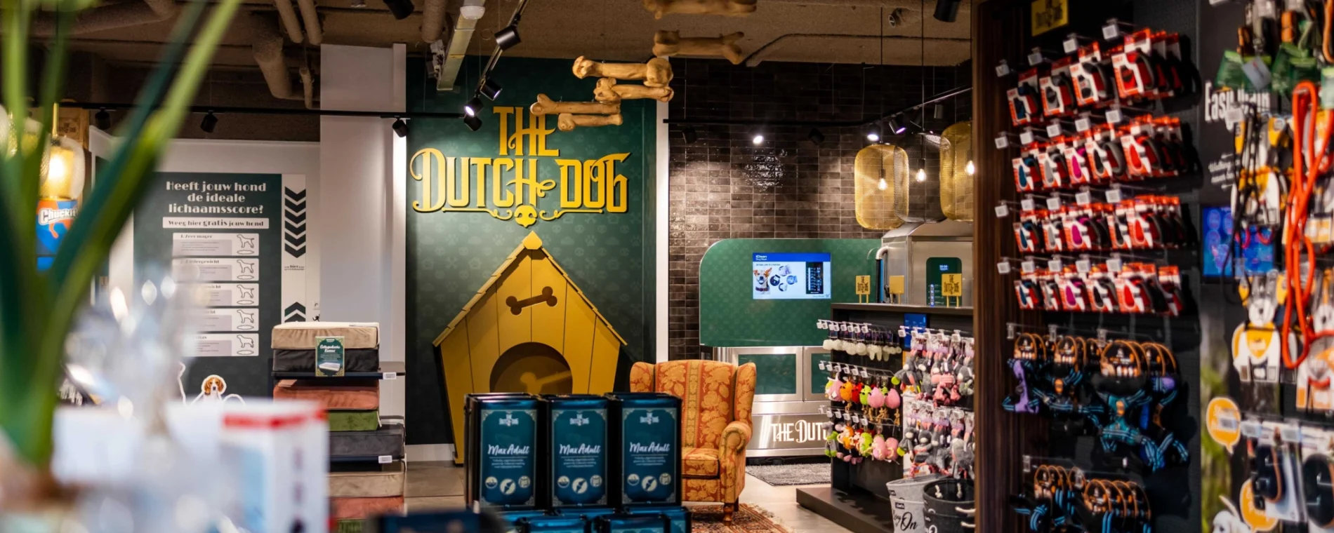 DA Licht Dutch Dog 28