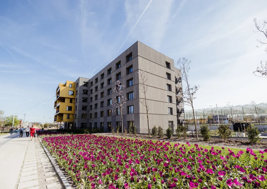 Lizetbeek nl 19042022 85
